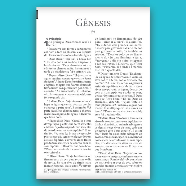 Foto Bíblia de Estudo da Mulher Plena NVI | Tifany