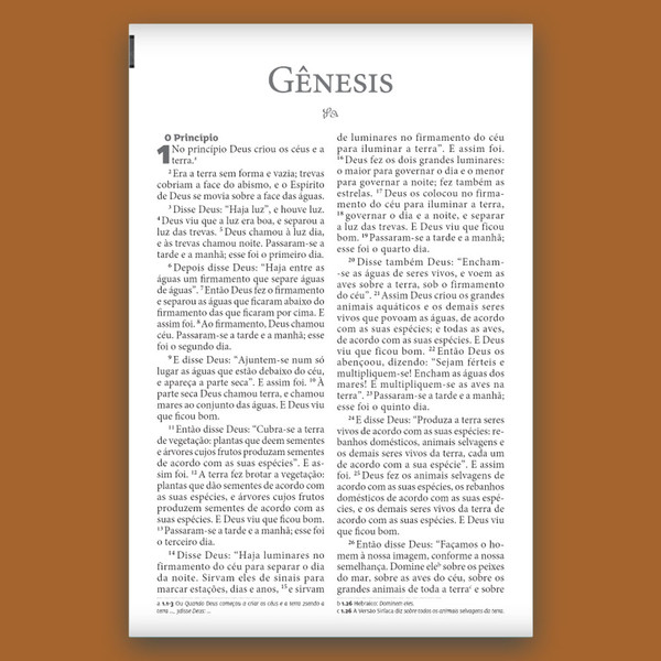 Foto Bíblia de Estudo da Mulher Plena NVI | Céu de Primavera