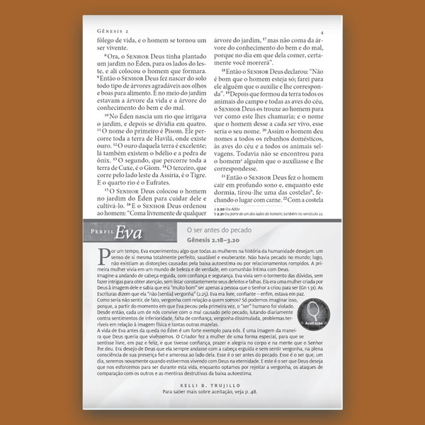 Foto Bíblia de Estudo da Mulher Plena NVI | Céu de Primavera