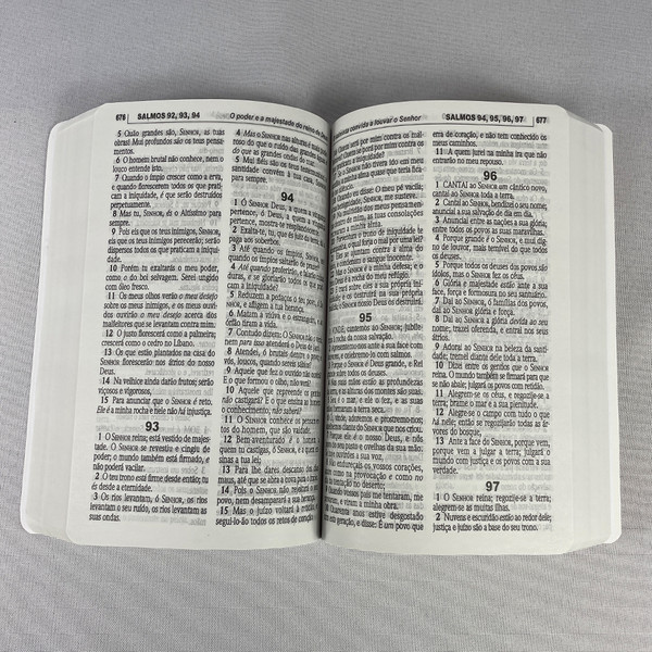 Foto Bíblia Sagrada ACF - Brochura | Lírios