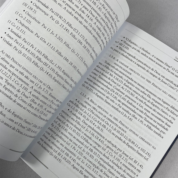 Foto Teologia Sistemática | Eurico Bergstén