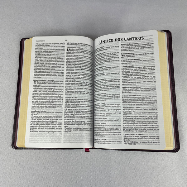 Foto Bíblia King James - Atualizada Slim | Vinho