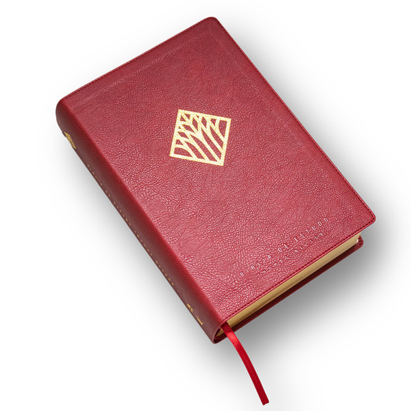 Foto Bíblia de Estudo Thomas Nelson NVI | Luxo Vinho