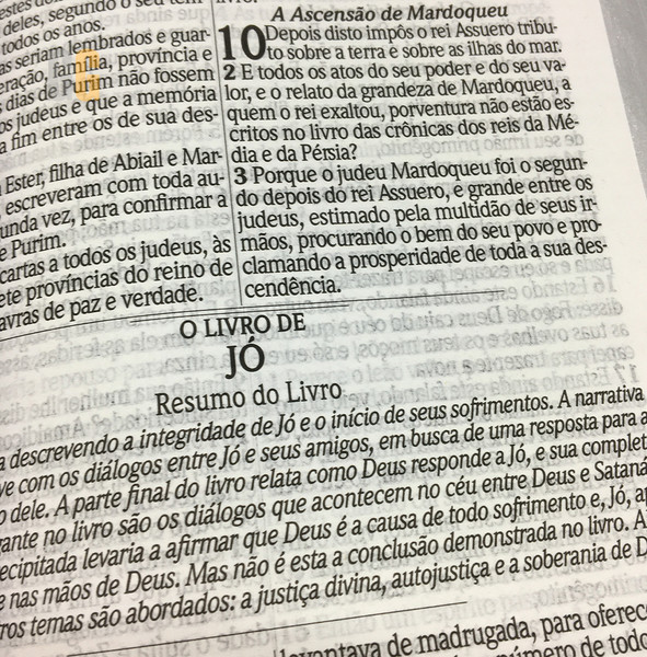Foto Bíblia Sagrada ARC - Letra Gigante com Harpa e Corinhos | Flores Lilás