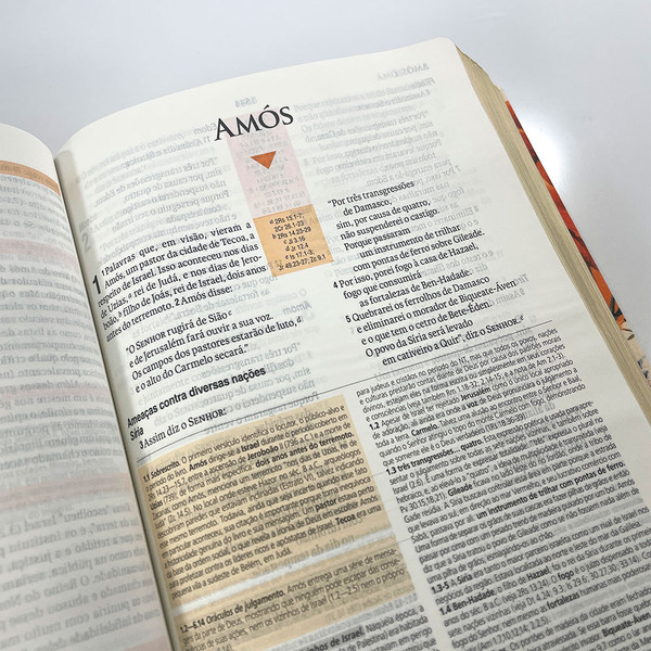 Foto Bíblia de Estudo NAA | Feminina