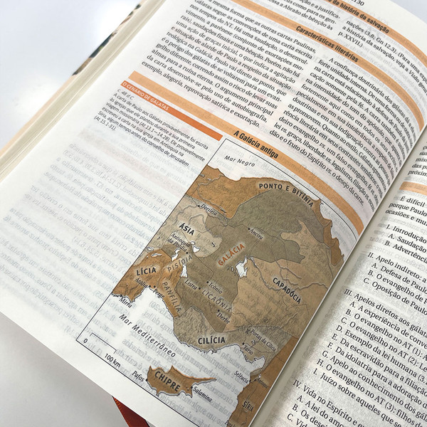 Foto Bíblia de Estudo NAA | Feminina