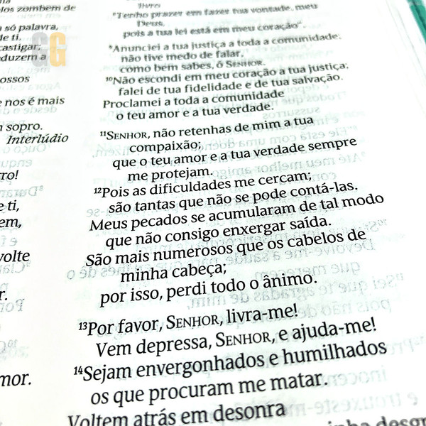 Foto Bíblia Sagrada NVT - Na Jornada com Cristo | Verde