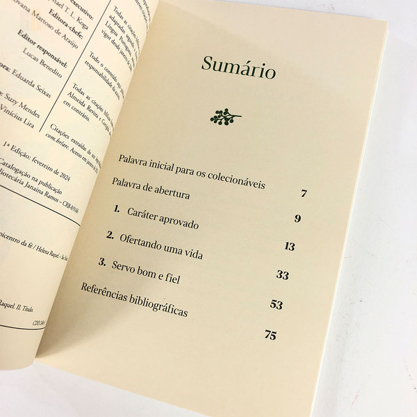 Foto Kit Mulher Livros Colecionáveis | Helena Raquel