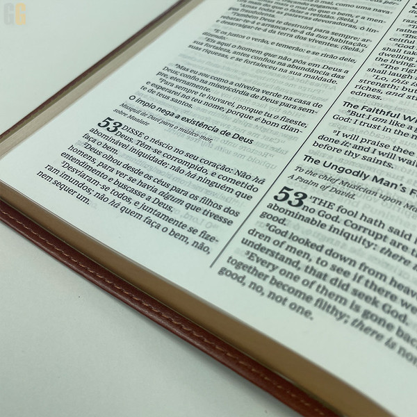Foto Bíblia Bilíngue ACF - KJV | Capa Luxo Marrom