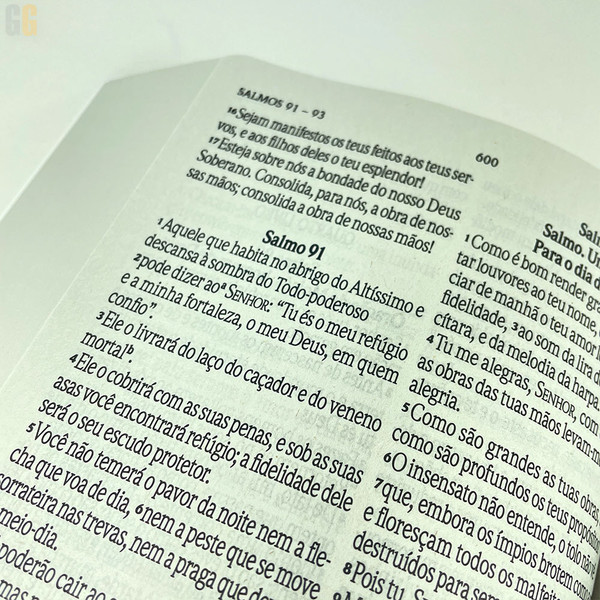 Foto Bíblia Evangelize NVI | Letra Grande - Brochura | Capa Celeste