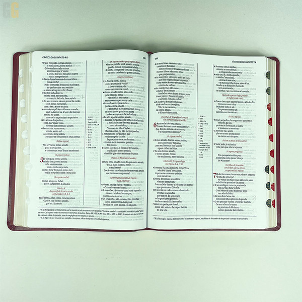 Foto Bíblia de Estudo Scofield com Índice | Capa Luxo Vinho