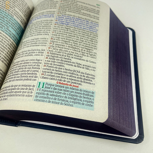 Foto Bíblia ARC | Letra Maior | Textos Coloridos Com Harpa - Capa Dura (12cm x 15cm) | Leão Pintura Inteiro