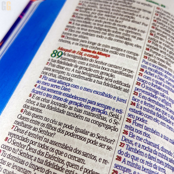 Foto Bíblia ARC | Letra Maior | Textos Coloridos Com Harpa - Capa Dura (12cm x 15cm) | Leão Aquarela