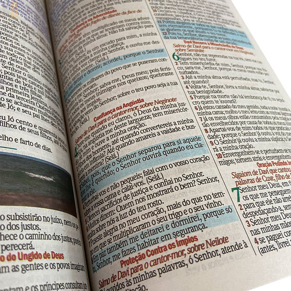 Foto Bíblia ARC | Letra Gigante | Textos Coloridos Com Harpa | Capa Brochura - Flor Dourada