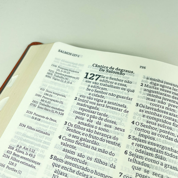 Foto Bíblia Thompson com Índice - Letra Grande AEC | Capa Luxo - Marrom