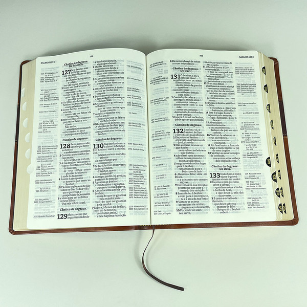 Foto Bíblia Thompson com Índice - Letra Grande AEC | Capa Luxo - Marrom