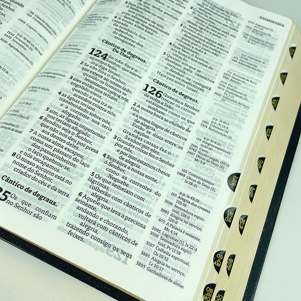 Foto Bíblia Thompson com Índice - Letra Grande AEC | Capa Luxo - Preta