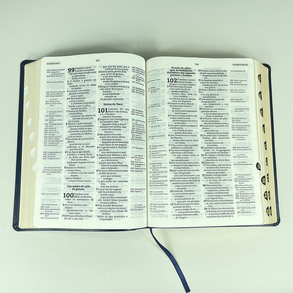 Foto Bíblia Thompson com Índice - Letra Grande AEC | Capa Luxo - Azul