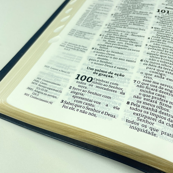 Foto Bíblia Thompson com Índice - Letra Grande AEC | Capa Luxo - Azul