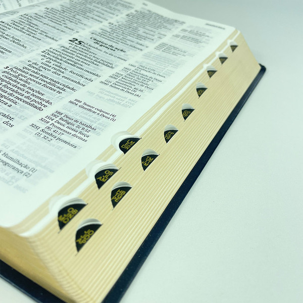 Foto Bíblia Thompson com Índice - Letra Grande AEC | Capa Luxo - Azul