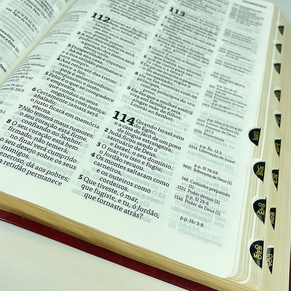 Foto Bíblia Thompson com Índice - Letra Grande AEC | Capa Luxo - Vinho