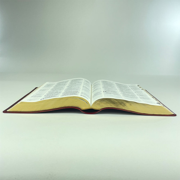 Foto Bíblia Thompson com Índice - Letra Grande AEC | Capa Luxo - Vinho