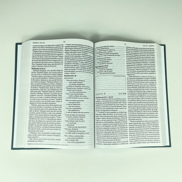 Foto Bíblia 365 NAA Capa Dura - Verde