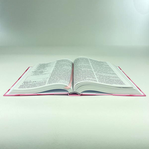 Foto Bíblia 365 NAA Capa Dura - Rosa