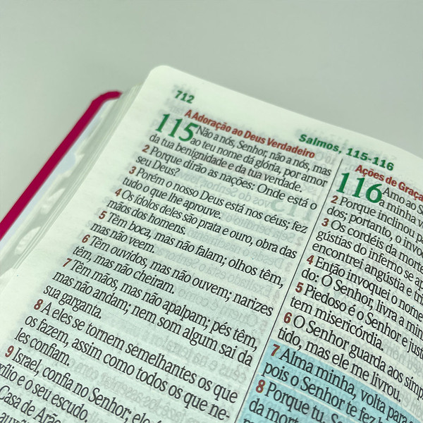 Foto Bíblia ARC com Índice Hipergigante | Textos Coloridos com Harpa | Margarida Pink