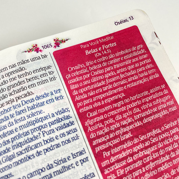 Foto Bíblia de Estudo da Mulher Sábia | Textos Coloridos Com Harpa | Magnolia Branca