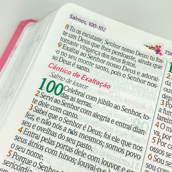 Foto Bíblia de Estudo da Mulher Sábia | Textos Coloridos Com Harpa | Tulipa Rosa