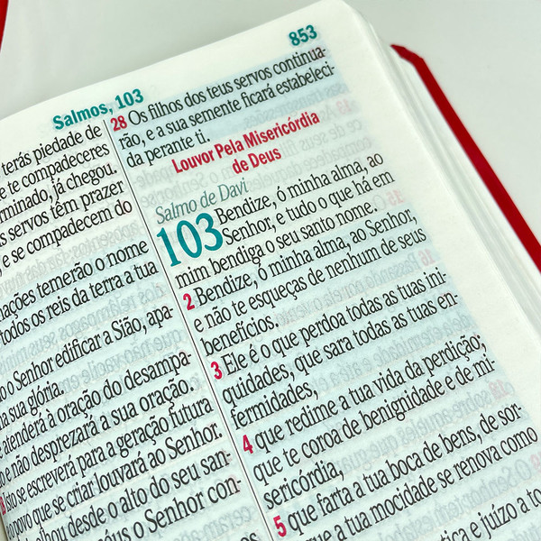 Foto Bíblia ARC Letra Jumbo | Textos Coloridos com Harpa | Jardim Rosa