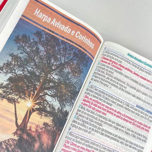 Foto Bíblia ARC Letra Jumbo | Textos Coloridos com Harpa | Jardim Rosa