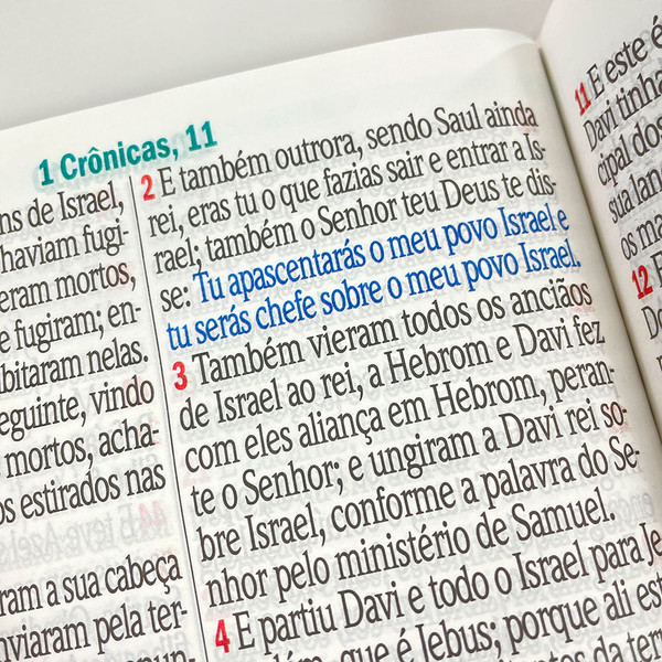 Foto Bíblia ARC Letra Jumbo | Textos Coloridos com Harpa | Jardim Vermelho