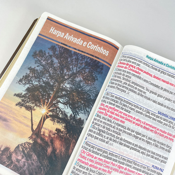 Foto Bíblia ARC Letra Jumbo | Textos Coloridos com Harpa | Cruz Bordô