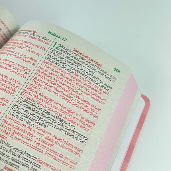 Foto Bíblia Sagrada ARC com Harpa Avivada e Corinhos - Letra Gigante | Ramos Flores