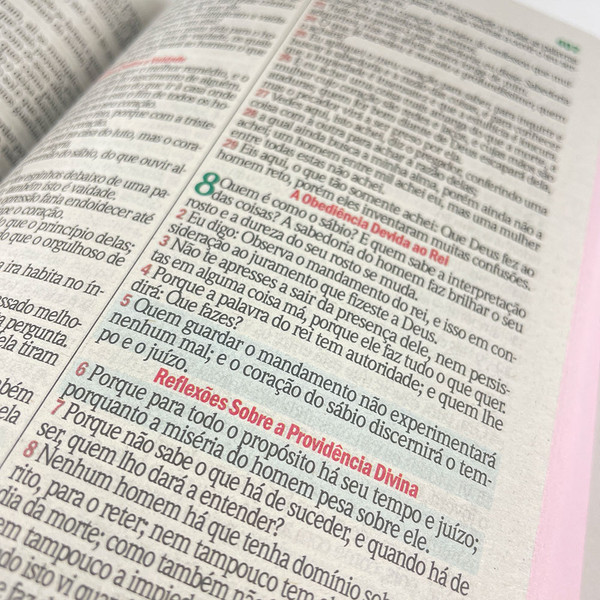 Foto Bíblia Sagrada ARC com Harpa Avivada e Corinhos - Letra Gigante | Ramos Flores