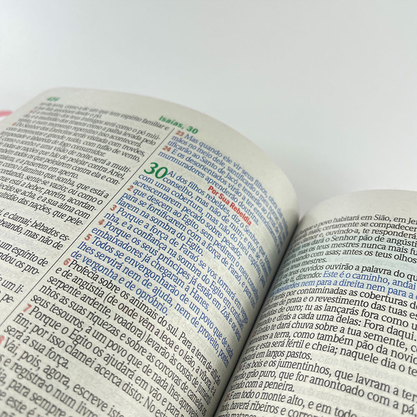 Foto Bíblia Sagrada ARC com Harpa Avivada e Corinhos - Letra Gigante | Ramos Flores