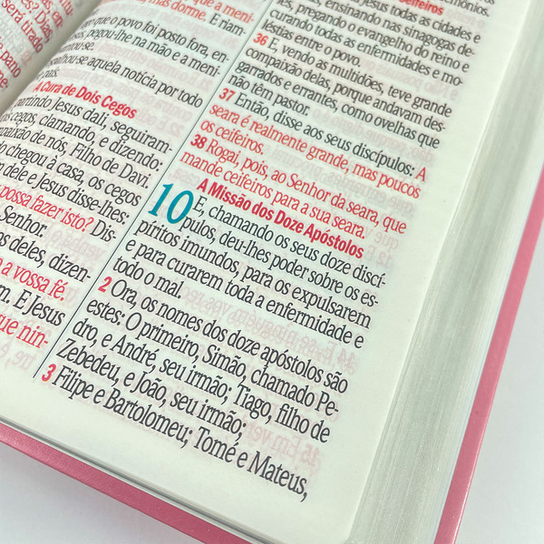 Foto Bíblia ARC Letra Jumbo | Textos Coloridos com Harpa | Floral Rosa