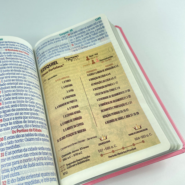 Foto Bíblia ARC Letra Jumbo | Textos Coloridos com Harpa | Floral Rosa