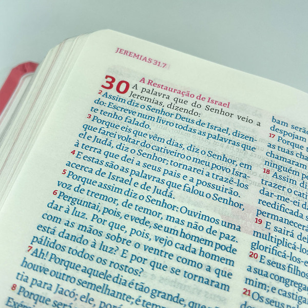 Foto A Bíblia da Pregadora Fiel | ARC | Textos Coloridos | Capa Rosa