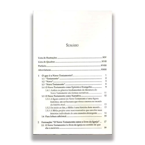 Foto Introdução Ao Novo Testamento - Histórias, Literatura E Teologia - M. Eugene Boring - Vol. 1