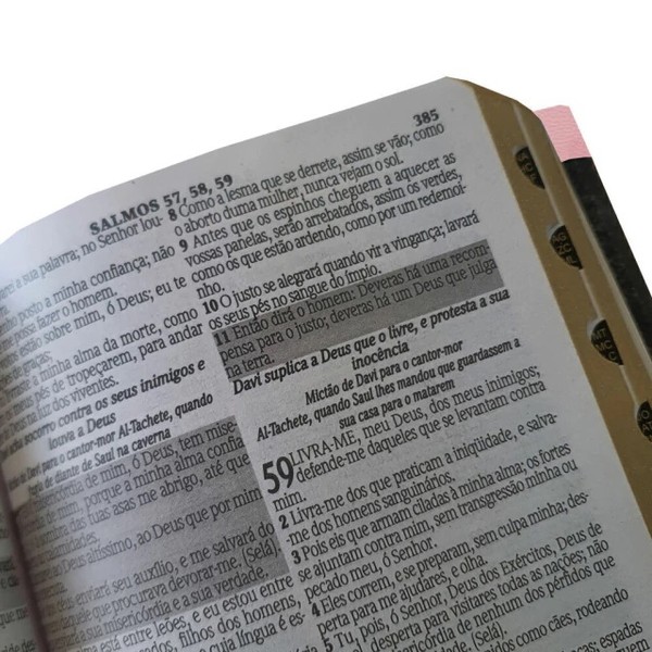Foto Bíblia ARC PJV Letra Gigante Com Harpa Avivada E Corinhos - Capa Carteira Bicolor Rosa e Azul