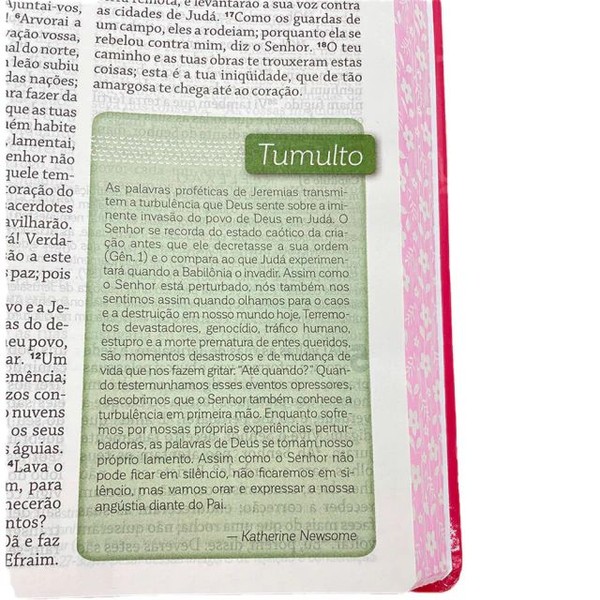 Foto Bíblia De Estudo Da Mulher De Deus - Letra Grande - Capa Dura Pink