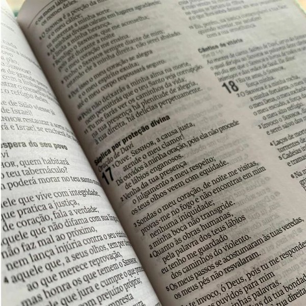 Foto Bíblia Sagrada NAA Pequena - Capa Luxo Bicolor Verde Claro