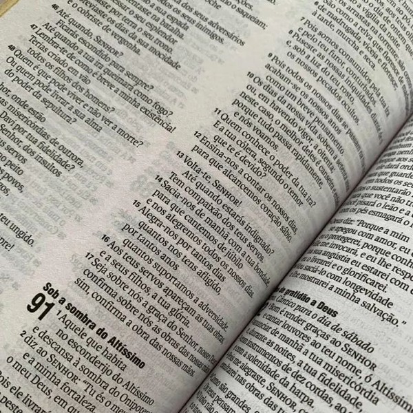 Foto Bíblia Sagrada NAA Pequena - Capa Luxo Bicolor Verde Claro