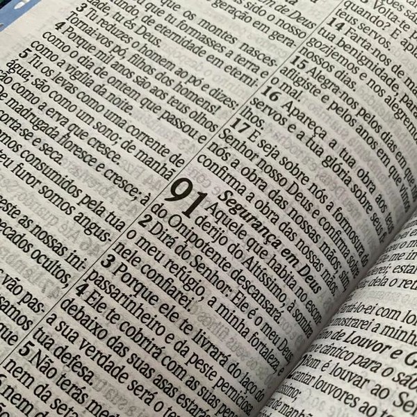 Foto Bíblia Sagrada NAA Pequena - Capa Luxo Bicolor Verde Claro