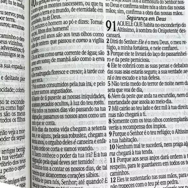 Foto Bíblia Sagrada Infantil RC Letra Grande Com Harpa Avivada E Corinhos Capa Dura Pequena Leão Criança
