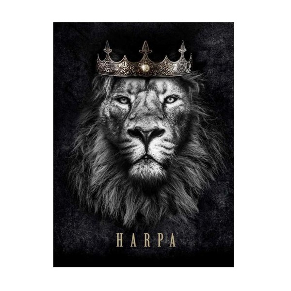 Foto Harpa Letra Gigante Capa Brochura Rei Dos Reis