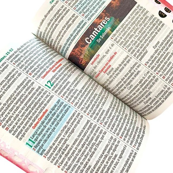 Foto Bíblia Sagrada Letra Hipergigante RC Harpa E Corinhos Capa Zíper Rosa Claro